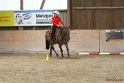 26-ApHC GT_162